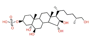 (25S)-5a-Cholestane-3b,5,6b,15a,16b,26-hexol 3-sulfate
